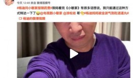 杨迪爆料妈妈班级视频,揭秘明星家庭日常