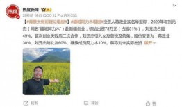 网红背景爆料视频,背景爆料视频深度解析
