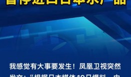台湾大陆最新爆料新闻,最新爆料揭示两岸关系紧张局势