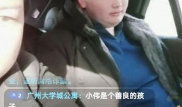 朱小伟教练爆料新闻视频,揭秘新闻视频背后的真相