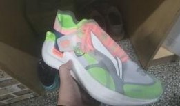 李宁最新支线爆料,揭秘支线产品背后的创新与设计理念