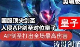 巴西老哥爆料剑圣视频大全,剑圣视频大全背后的精彩瞬间