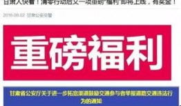 今日关注爆料联系方式深圳,揭秘爆料热线背后的故事