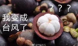 山竹爆料深圳视频播放,视频揭秘城市生活百态