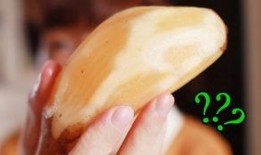 网红水果爆料视频大全,揭秘热门水果视频大全