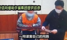 央视今日说法爆料电话,揭开真相背后的秘密