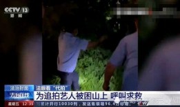 陕西明星爆料新闻视频,揭秘娱乐圈幕后真相