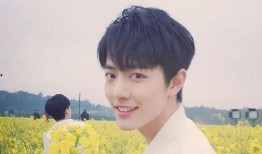 吃瓜爆料肖战恋情视频大全,瓜王带你一网打尽甜蜜瞬间