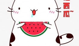 陌陌吃瓜表情包下载免费,轻松逗趣你的聊天时光