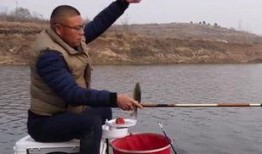 大杨哥被爆料钓鱼视频,揭秘网红背后的真实生活