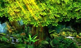 大树爆料视频下载