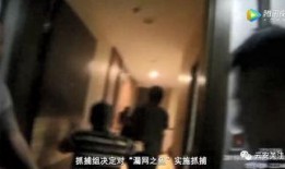 至冬旅行者视频爆料,探寻神秘世界的幕后故事