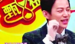 何炅爆料自己丑事视频播放,娱乐圈的“真性情”