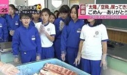 猪厂员工爆料怎么办呢视频,揭秘工厂内部惊人真相