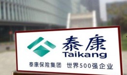 河南泰康保险最新爆料,揭秘行业内幕，深度剖析风险与机遇