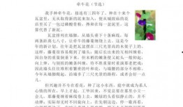 喜提吃瓜短文免费阅读全文,揭秘娱乐圈幕后故事