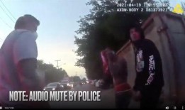 至冬旅行者视频爆料,探寻神秘世界的幕后故事