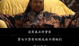 大明王朝在线观看免费,免费在线观看，揭秘帝国兴衰