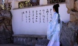 花香在线观看,在线体验花艺之美