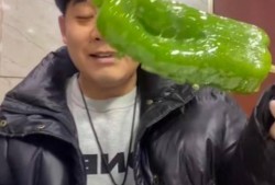 西昌吃瓜事件网红视频,网红视频引发的网络狂欢与反思