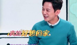 何炅爆料自己丑事视频播放,娱乐圈的“真性情”