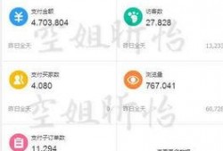 辞职空姐爆料视频播放网站,网络平台背后的真相曝光