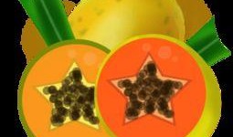 怎么制作娱乐吃瓜封面图,轻松制作娱乐吃瓜封面图的实用指南