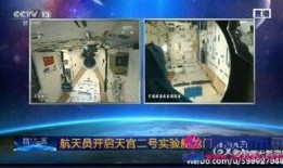 天庭爆料视频全集,揭秘全集背后的神秘故事与惊人内幕