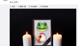 刘允澈最新爆料,揭秘娱乐圈惊人内幕