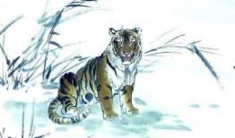 虎财吃瓜小说免费阅读下载,揭秘小说世界中的财富与瓜田