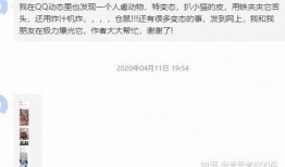 今日动物爆料最新消息视频,揭秘神奇动物世界新发现