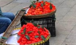 网红水果爆料视频大全,揭秘热门水果视频大全