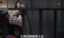 三姐前夫爆料视频,惊人内幕曝光