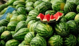 丽水银泰吃瓜网红,揭秘网络红人的幕后真相