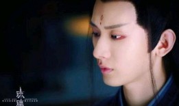 成毅真实爆料视频合集,揭秘明星幕后生活点滴