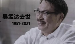 娱乐圈离谱的吃瓜群众,揭秘离谱吃瓜群众的疯狂世界