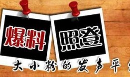 qx爆料新闻,揭秘新闻背后的真相与内幕