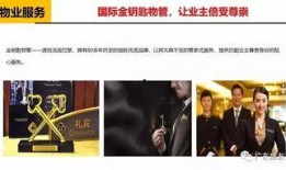 广州爆料大王视频大全,揭秘城市热点事件背后的真相