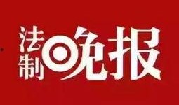 qx爆料新闻,揭秘新闻背后的真相与内幕