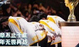 狼队老林爆料视频在线观看,揭秘球队幕后故事