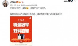 柬埔寨高管爆料视频,企业黑幕与权力斗争