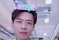 丁海棠被爆料了吗视频,真相究竟如何？