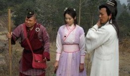 龙行天下爆料视频大全集,揭秘爆料视频大全集精彩瞬间