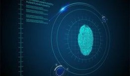 媒体爆料素材视频,媒体爆料素材视频背后的真相